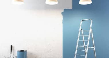 Interior wall paints